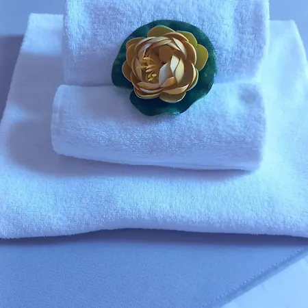 住宿加早餐酒店 Station